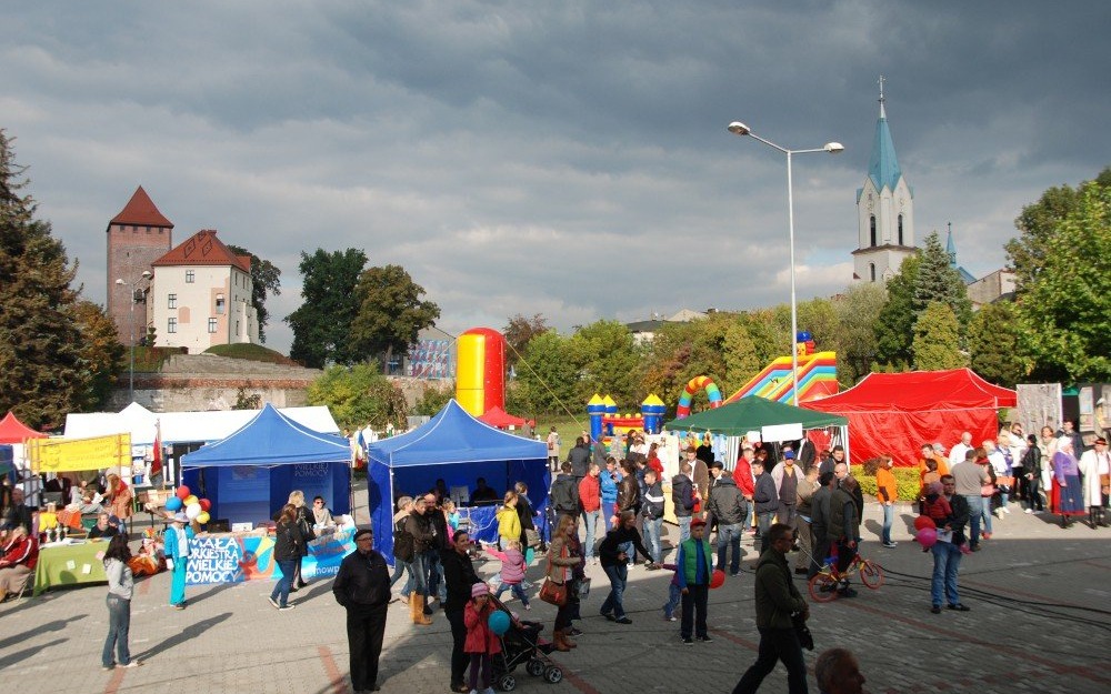 Dotacje dla NGO podzielone