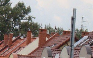 Dotacje do pieców i przyłączy kanalizacyjnych