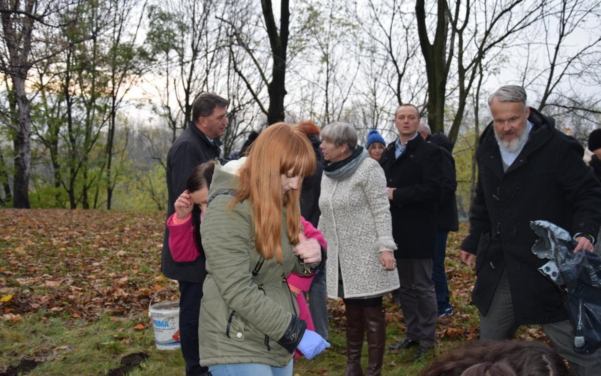 Sadzili żółte krokusy, by upamiętnić dzieci ofiary Holocaustu i II wojny światowej