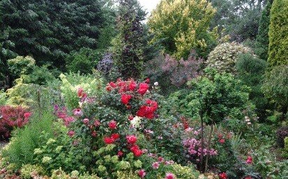 Od tego roku właściciele nieruchomości nie muszą mieć pozwoleń na wycinkę drzew. Ważne zmiany w ustawie o ochronie przyrody i ustawie o lasach