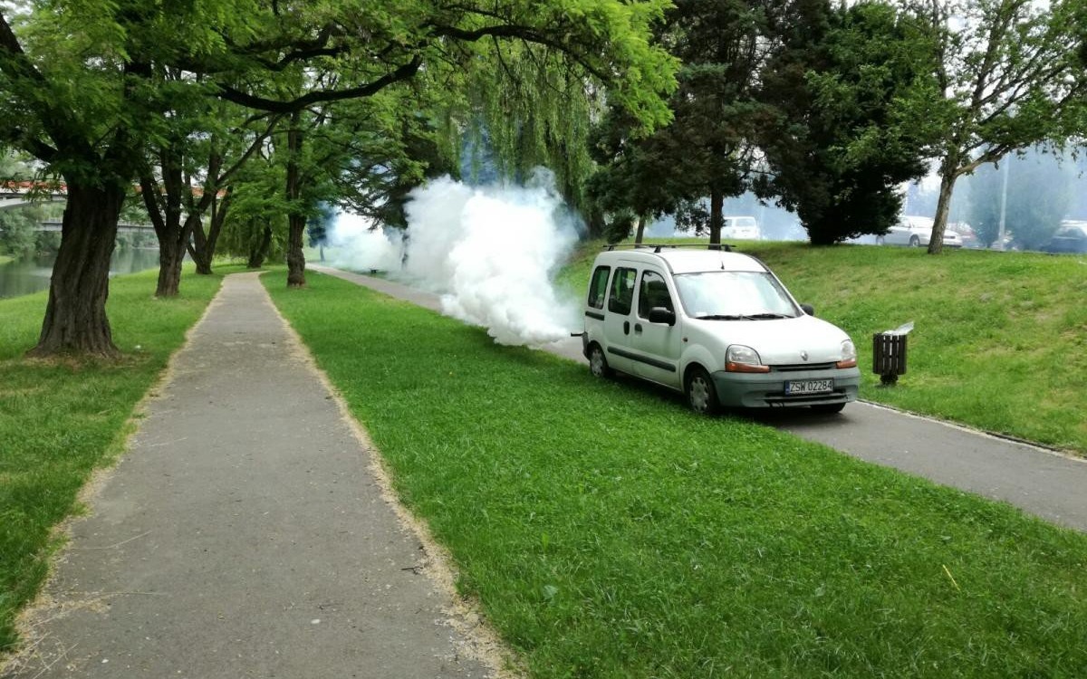 Oświęcim. Miasto walczy z komarami