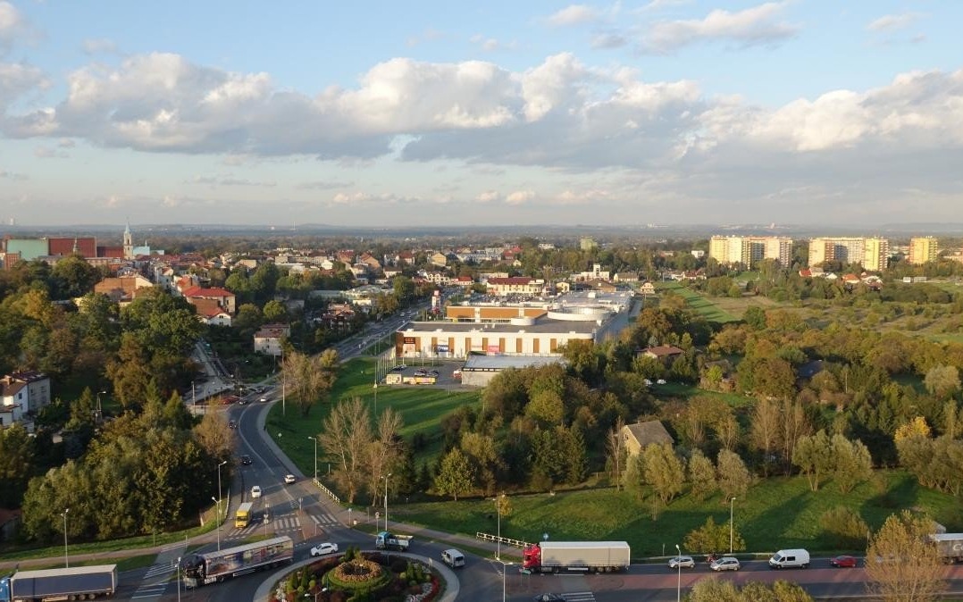 Oświęcim. Miasto posadzi 1000 drzew rodzimego gatunku w ciągu dwóch lat