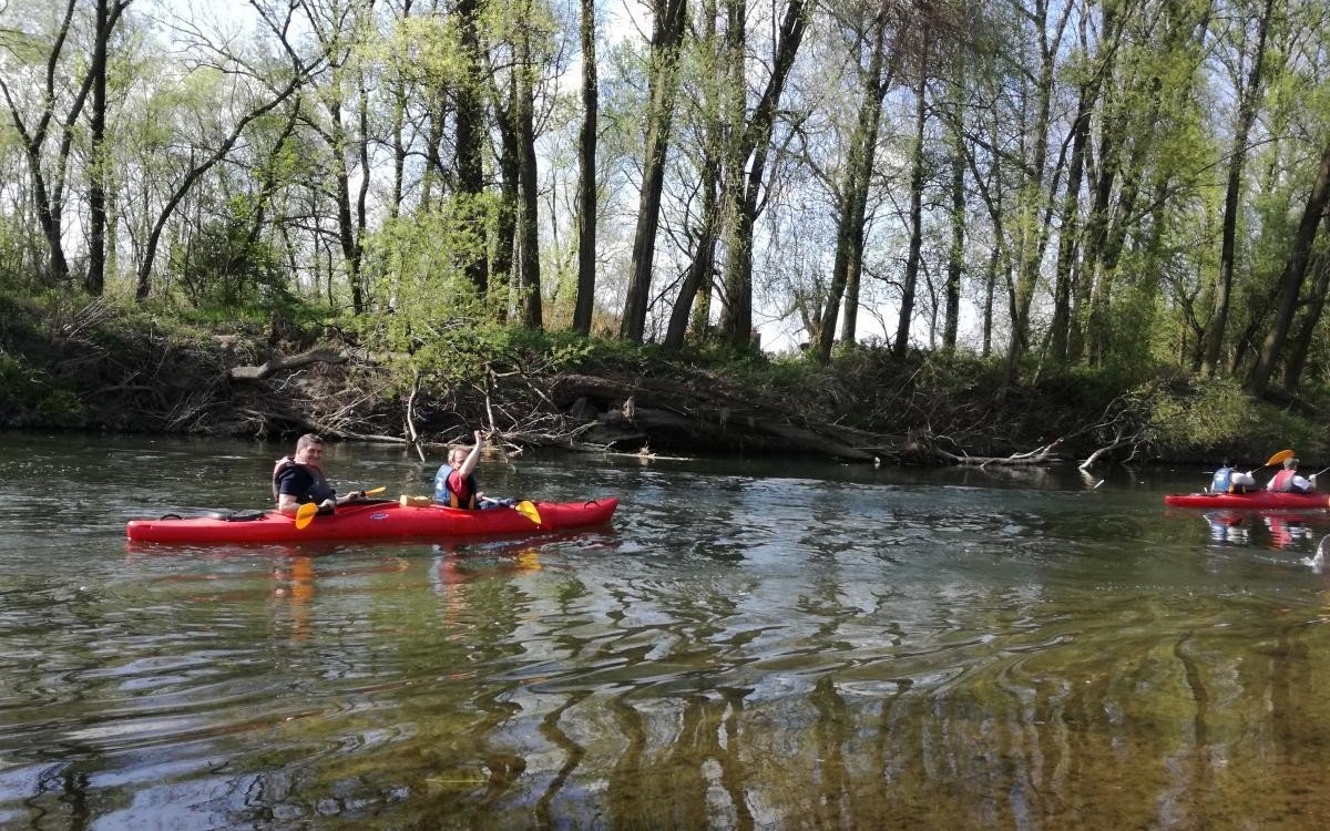 Oświęcim. Testowali spływ Sołą kajakiem