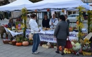 Oświęcim. Konsultacje dla NGOS w sprawie rocznego programu współpracy na 2020 rok