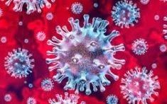 Oświęcim. Aktualizacja. Są decyzje odnośnie zamknięcia szkół i instytucji kultury od 12 do 25 marca