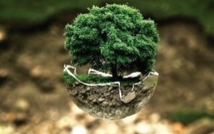 Oświęcim. Małopolsce możesz starać się o ulgi w opłatach środowiskowych ŚRODOWISKO01 kwietnia 2020