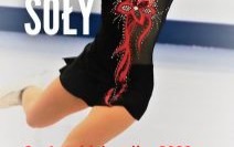 Łyżwiarski Puchar Soły