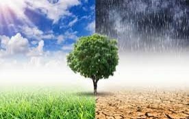 Oświęcim. Konsultacje społeczne dotyczące projektu Miejskiego Planu Adaptacji do zmian klimatu dla Oświęcimia do 2030 roku