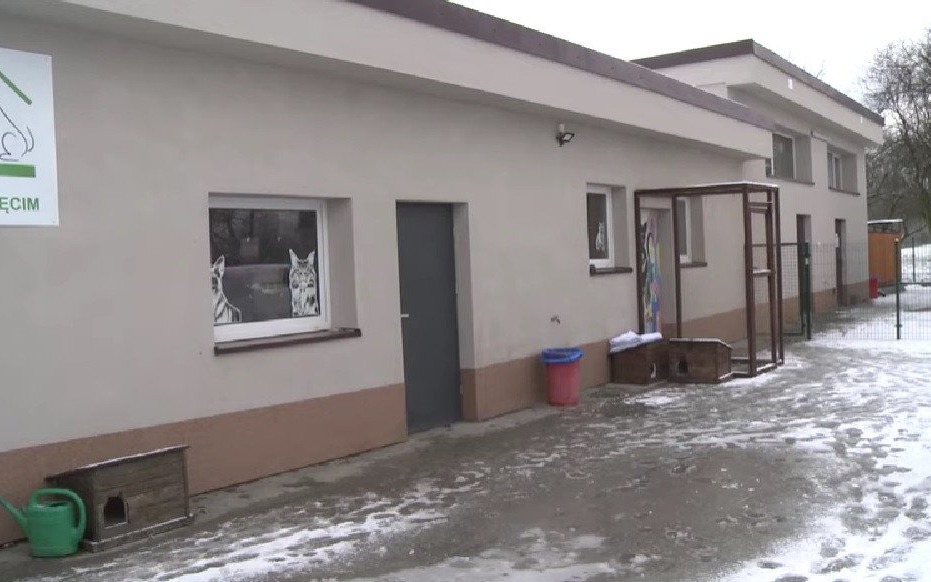 Oświęcim. Schronisko po remoncie