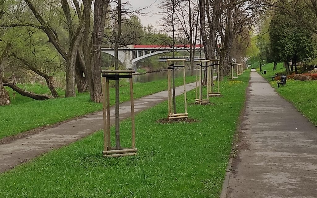 Oświęcim. Więcej drzew w parkach , bulwarach i skwerach