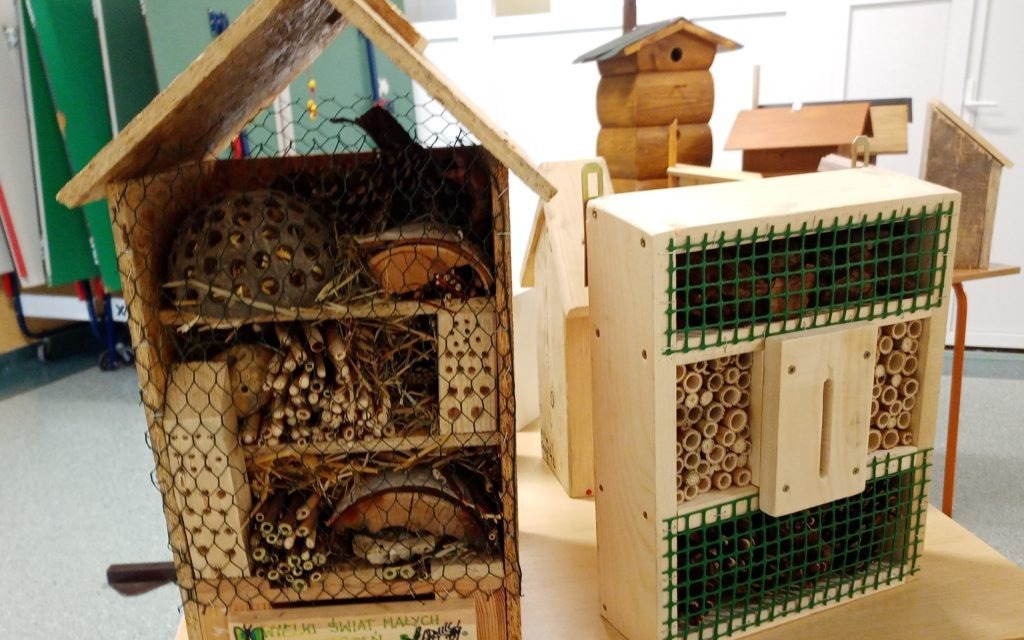Oświęcim. Uczniowie oświęcimskiej "dziewiątki" skonstruowali domki dla ptaków i owadów, które powiesili między innymi w pobliżu szkoły