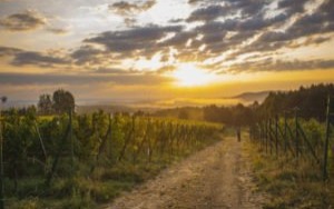 Poznajemy Małopolskę Zachodnią. Libiąż – wita uśmiechem!