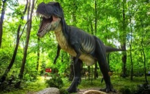 Poznajemy Małopolskę Zachodnią. Dzisiaj Zator!