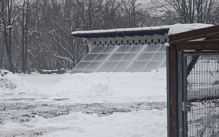 Oświęcim. Lepsze warunki dla bezdomnych zwierząt. W schronisku prowadzone są prace modernizacyjne