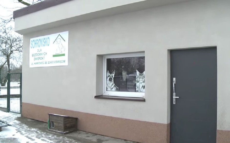 Oświęcim. Od 1 stycznia Schronisko dla Bezdomnych Zwierząt prowadzi Miejski Zakład Usług Komunalnych