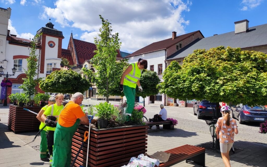 Oświęcim. Rynek bardziej zielony