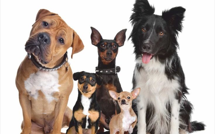 Oświęcim. Posprzątaj po mnie. Stosujmy dobre zachowania, warte naśladowania